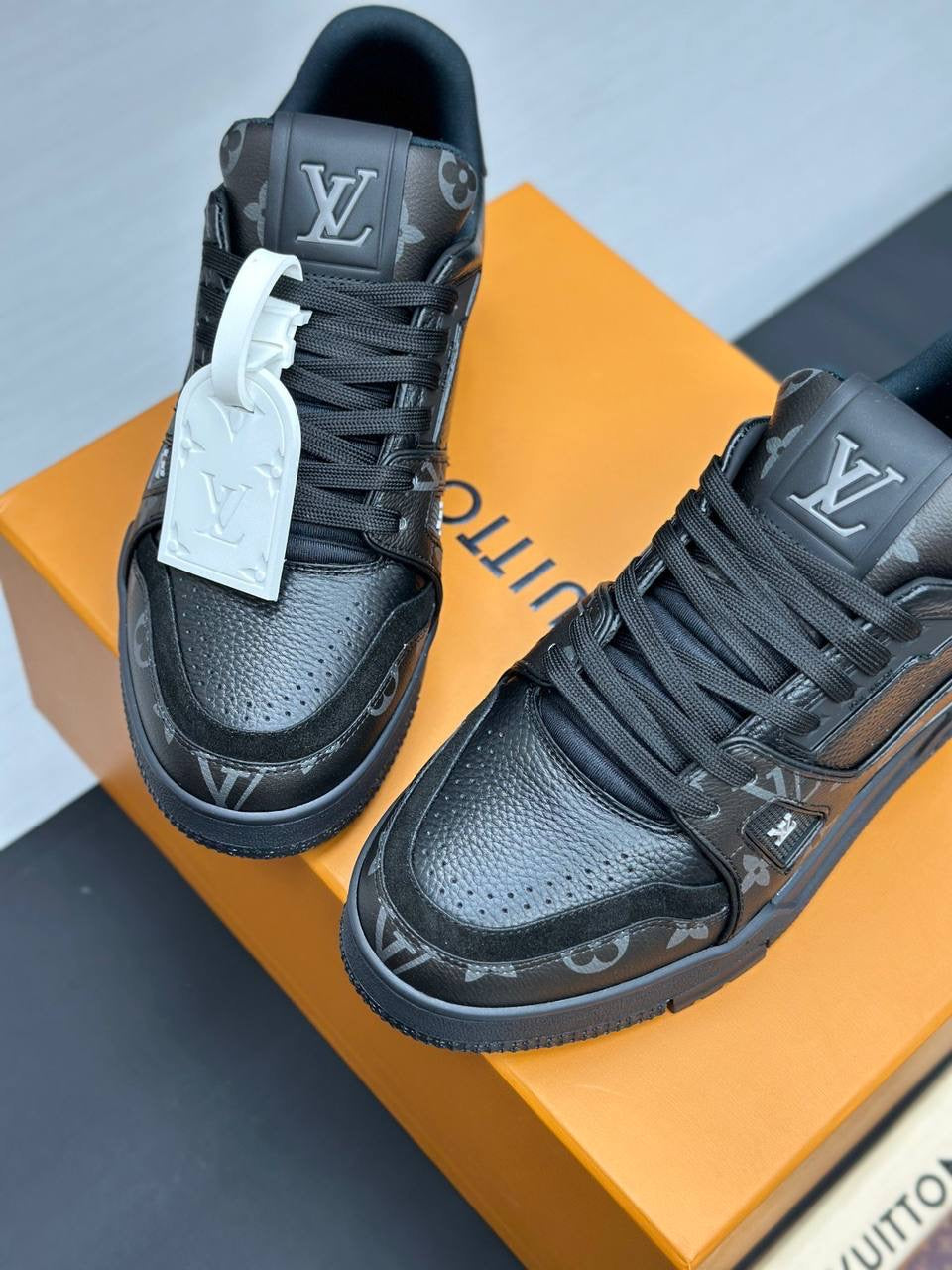 LV trainer